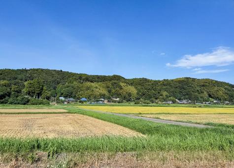 千葉県南部 8月の田園風景 千葉県南部 8月の田園風景の写真