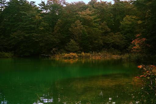 秋の湖畔と木々の絶景 秋の湖畔と木々の絶景の写真