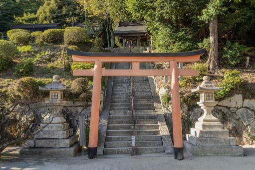 滋賀 白鬚神社 摂末社への鳥居 滋賀 白鬚神社 摂末社への鳥居 白鬚神社,白鬚,神社の写真素材