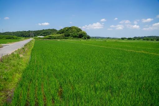 田園風景 田園風景 田園風景,田舎,田舎暮らしの写真素材