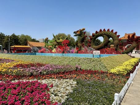 北陵公園前の見事な園芸 北陵公園前の見事な園芸 瀋陽,北陵公園,中国の写真素材