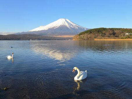 雪の富士山と山中湖 富士山,雪景色,山中湖の写真素材