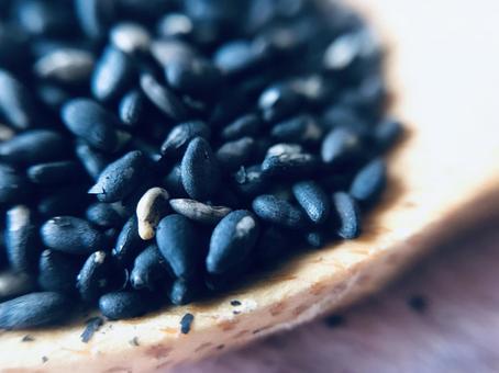 スプーンに乗せたセサミ スプーン,胡麻,セサミの写真素材