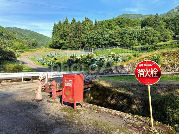 猪篠の棚田 棚田,神河町,猪篠の写真素材
