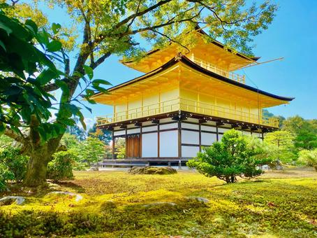 金閣寺 金閣寺 金閣寺,金閣,鹿苑寺の写真素材