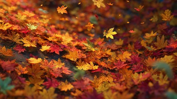 ポップでかわいい紅葉のテクスチャ ポップでかわいい紅葉のテクスチャの写真