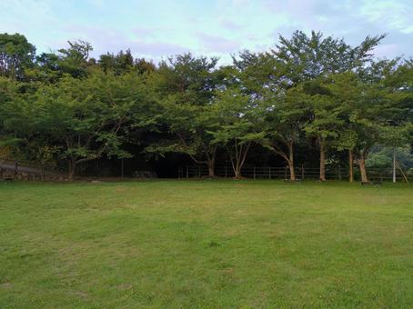 城山公園 鳥羽城跡 城山公園 鳥羽城跡の写真