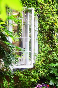 window window