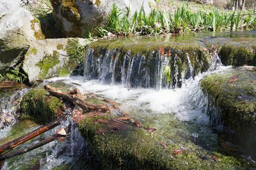 段差のある小川16 小川,自然,水の写真素材