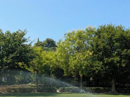 緑とスプリンクラー スプリンクラー,水やり,木の写真素材