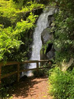森の中の小滝 森の中の小滝の写真