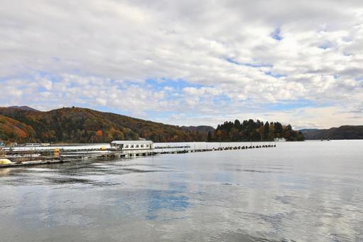 紅葉　長野県　野尻湖 湖,自然,景色の写真素材