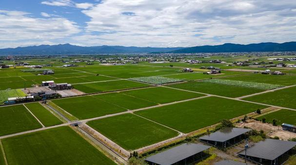 佐賀県杵島郡白石町の風景　空撮写真 佐賀,白石町,佐賀県の写真素材