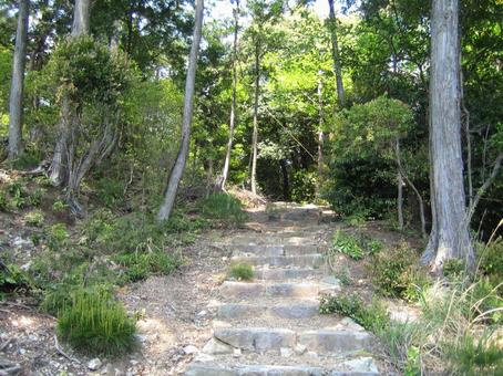 菩提山城 登山道 ハイキングコース 菩提山城 登山道 ハイキングコース 菩提山城,竹中半兵衛,竹中重治の写真素材