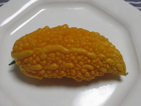 完熟ゴーヤ 完熟ゴーヤ ゴーヤ,完熟ゴーヤ,追熟の写真素材