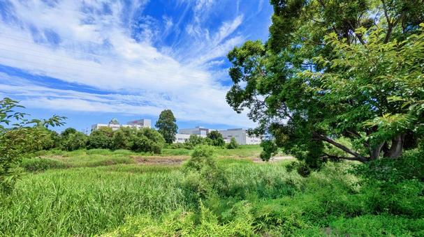 Photo, aosha river, imabari city, blue sky, 
