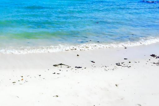 夏の海の風景 夏の海の風景の写真