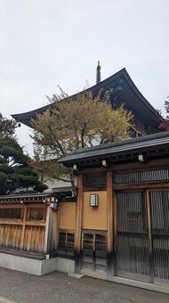 山門越しに見上げる相輪のある木造寺院 寺院,寺,仏教寺院の写真素材