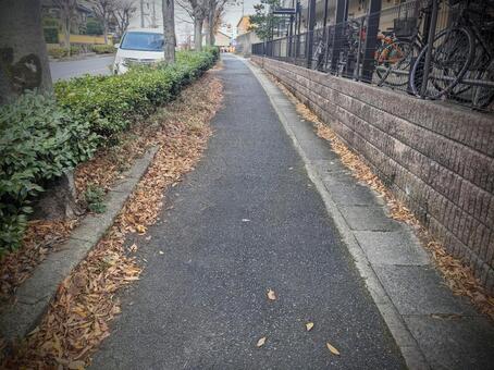 町の歩道 町,歩道,舗道の写真素材
