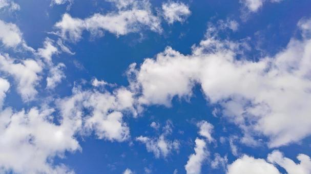 札幌の青空に浮かぶ雲 札幌の青空に浮かぶ雲の写真