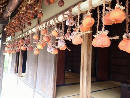 干し柿 干し柿,柿,自然の写真素材