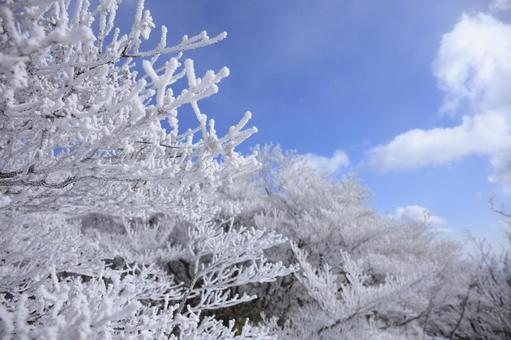 御在所岳　樹氷 御在所岳,樹氷,雪山の写真素材