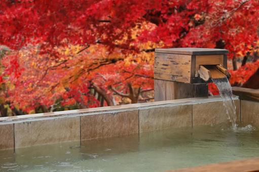 Open-air bath in the autumn leaves Open-air bath in the autumn leaves
