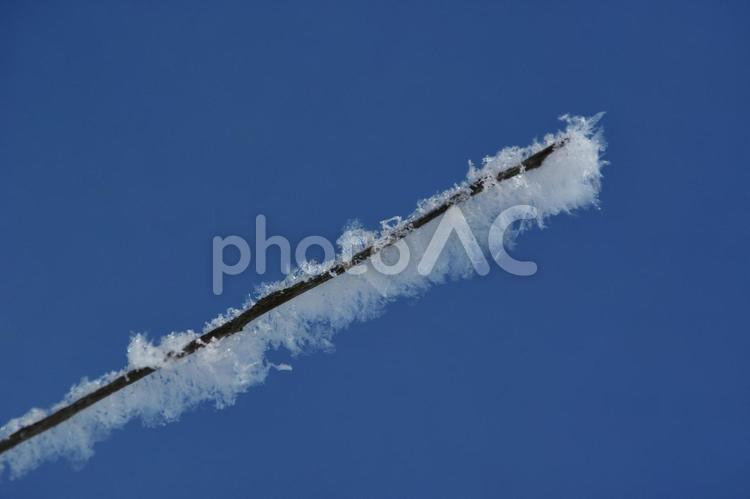 雪の華 雪,雪の結晶,空の写真素材
