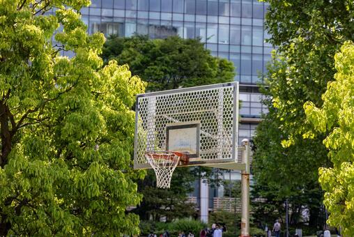 緑の木々に囲まれた公園のバスケットゴール バスケットボール,ボール,ゴールの写真素材