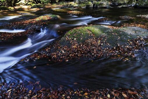 菊池渓谷 菊池川,菊池渓谷,渓流の写真素材