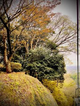秋の山 秋の山の写真