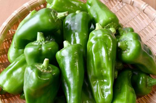 ピーマン　野菜 ピーマン,野菜,食べ物の写真素材
