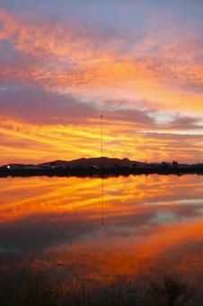 ９月下旬の高松市野田池からの朝焼け 朝焼け,早朝,きれいの写真素材