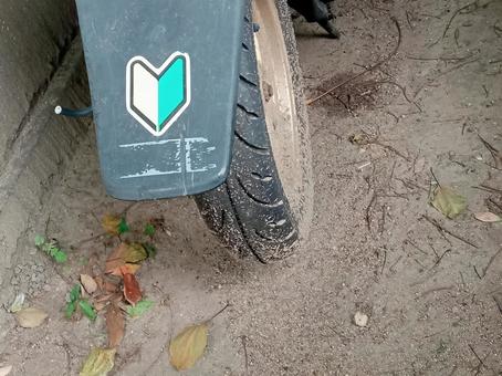 Photo, motorbike, bike, scooter, 