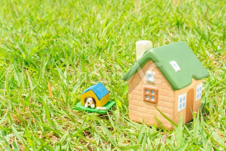 住宅のイメージ 住宅,家,ハウスの写真素材