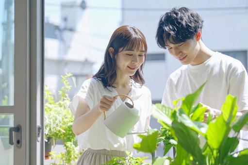 ガーデニングするカップルの写真