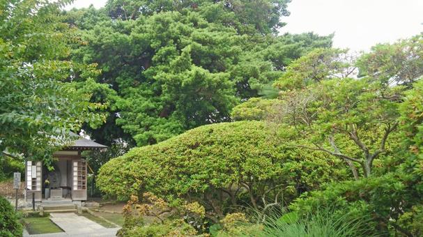 坂東33観音 03番 安養院 境内の風景 坂東33観音 03番 安養院 境内の風景の写真