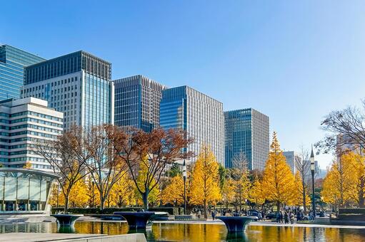 黄金色に色づいたイチョウ並木と高層ビル 高層ビル,紅葉,秋の写真素材