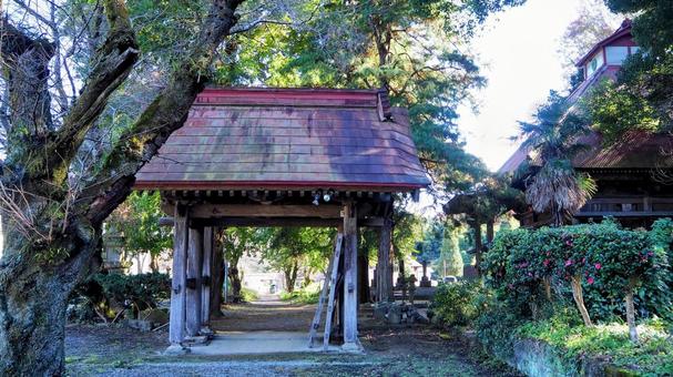 秋の飯山温泉・金剛寺&秋色の木(厚木市) 秋の飯山温泉・金剛寺&秋色の木(厚木市)の写真