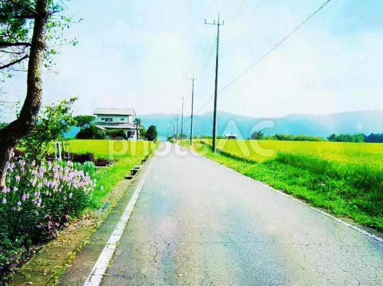 田舎の風景 田舎,畑,青空の写真素材