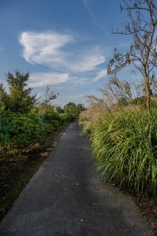 清水公園の秋 清水公園の秋の写真