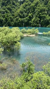 水没林 水没林の写真