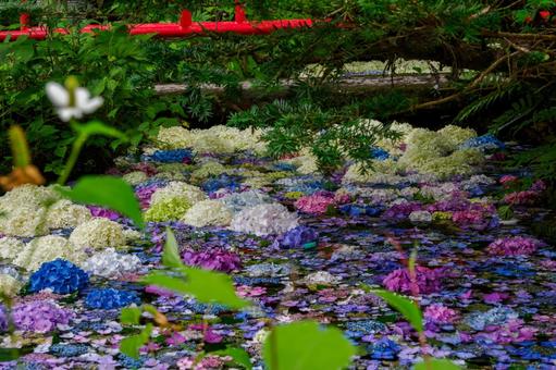 Photo, temple, hydrangea, pool, 