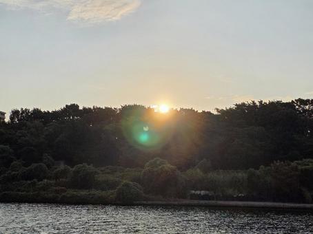 朝日と川辺 朝日と川辺 晴れ,風景,川の写真素材