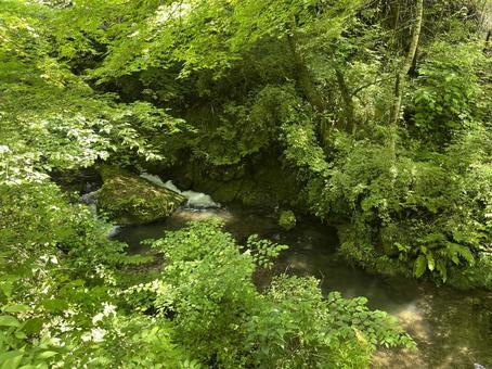 貴船川 貴船,川,京都の写真素材