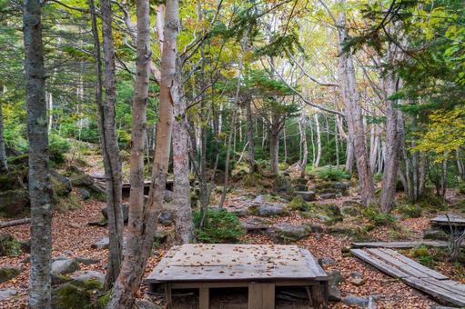 八ヶ岳白駒池 キャンプ場 八ヶ岳白駒池 キャンプ場 日本,長野県,南佐久郡の写真素材