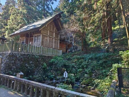 岐阜県-養老神社-本殿と拝殿と菊水霊泉 養老神社,神社,本殿の写真素材