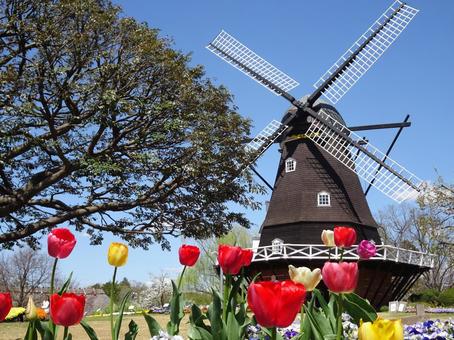 四月のアンデルセン公園-72 四月のアンデルセン公園-72 四月,ふなばしアンデルセン公園,千葉県船橋市の写真素材