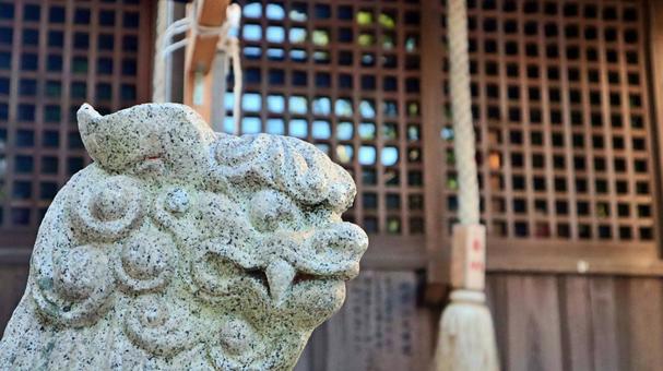 石の狛犬と鈴緒が映る神社のクローズアップ 狛犬,石像,神社の写真素材
