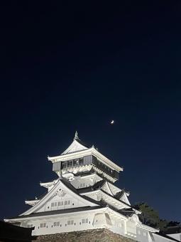 月とお城 小倉城,お城,城の写真素材